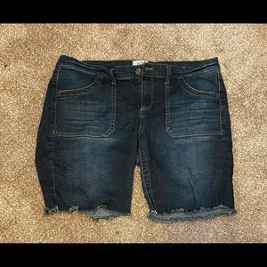 Large (Mudd) Jean Shorts